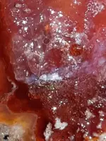 20190520_081923~2.webp