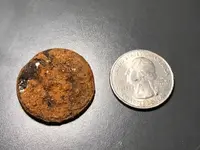 Kial Coin 2.webp
