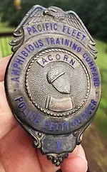 Acorn badge1.webp