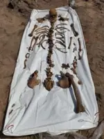 vero skeleton.webp vero skeleton.webp