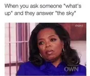 01-Funny-memes-to-get-you-through-the-day-0011.webp
