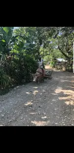 20190624_112918.webp