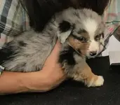 20190719_193700(1).webp