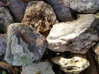 20190713_082112.webp