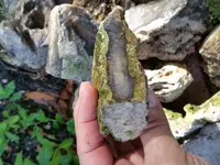 20190713_082108[1].webp