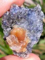 20190704_074618~2.webp
