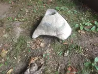 1563023302323.webp