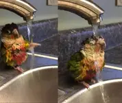 2awhzslM_2019706043609.webp 2awhzslM_2019706043609.webp