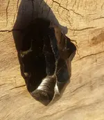 20190529_193516.webp