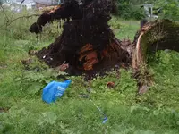 DSCF0001.webp