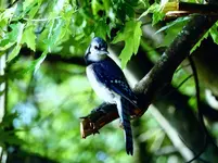 K1600_DSCN6320_InPixio.webp