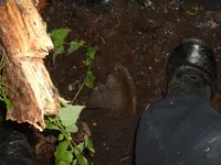 DSCF0004.webp