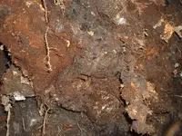 DSCF0008.webp