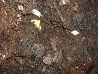 DSCF0010.webp