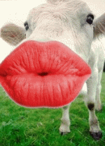 d657c6cfedea5537206f275cb081c1dc.gif