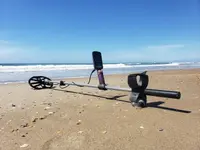 Silver-Shaftatthe-Beach.webp