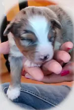 20190614_163658-2.webp