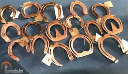 stromsholm copper shoes entered 121817 500.webp
