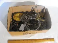 DSCF3097.webp