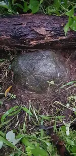 20190728_172326.webp