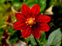 DSCN2756.webp