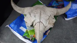 IMGP0028.webp