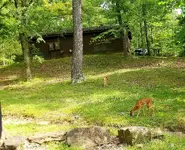 20190704_190854.webp