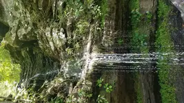 20190704_140953.webp