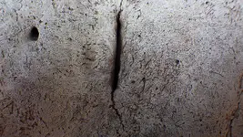 IMGP0030.webp