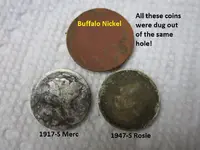 Finds 6-15-19 001.webp
