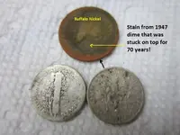Finds 6-15-19 002.webp
