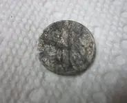 Finds 6-15-19 004.webp