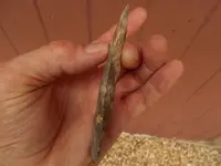 DSCN1586.webp