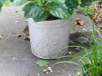 K1600_DSCN6545.webp