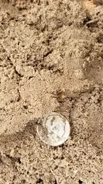 20190713_164411.webp