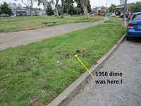 Finds 7-4-19 002.webp