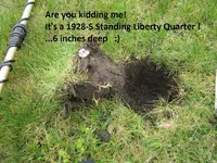 Finds 7-4-19 003.webp