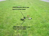 Finds 7-4-19 010.webp