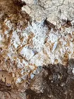 20190730_112301-ccfopt.webp