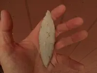 DSCN1589.webp