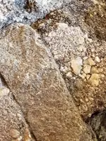 20190730_112715-ccfopt.webp
