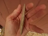 DSCN1592.webp
