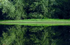 K1600_DSCN6466.webp