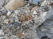 DSCN6530.webp
