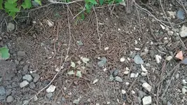 20190720_175509.webp