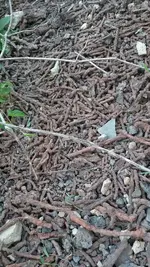 20190720_175523.webp