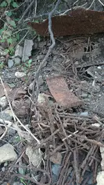 20190720_180323.webp
