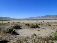 P6034452.webp