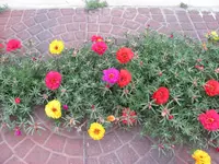 File #1 169.webp