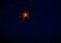 DSC_0204.webp